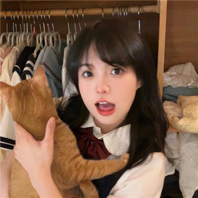 捉智双雄